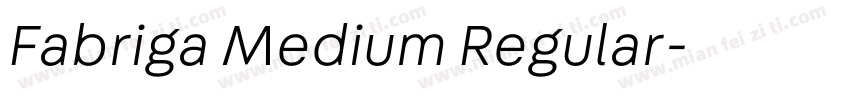 Fabriga Medium Regular字体转换